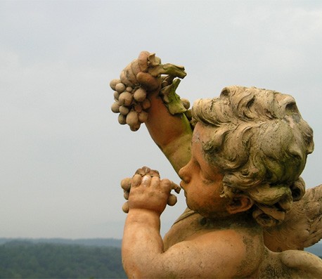 网络手机号呼叫软件免费版